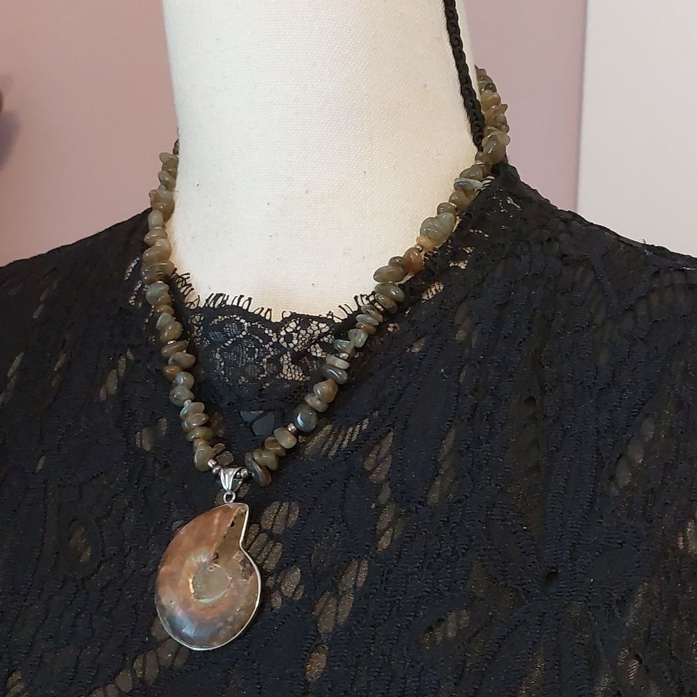 Ammonite Fossil Flashing Labradorite And Ancient … - image 3